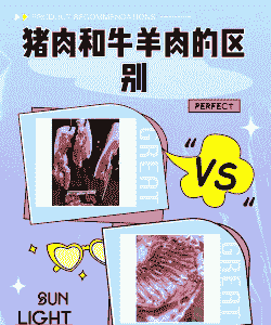 猪和牛羊肉价格对比