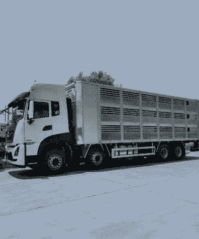 东风大型鸡苗运输车价格