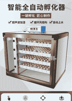 鸡苗孵化机中型机器价格