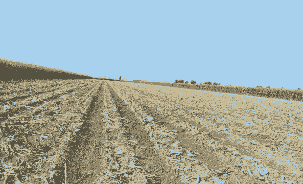 吉林玉米种植进度