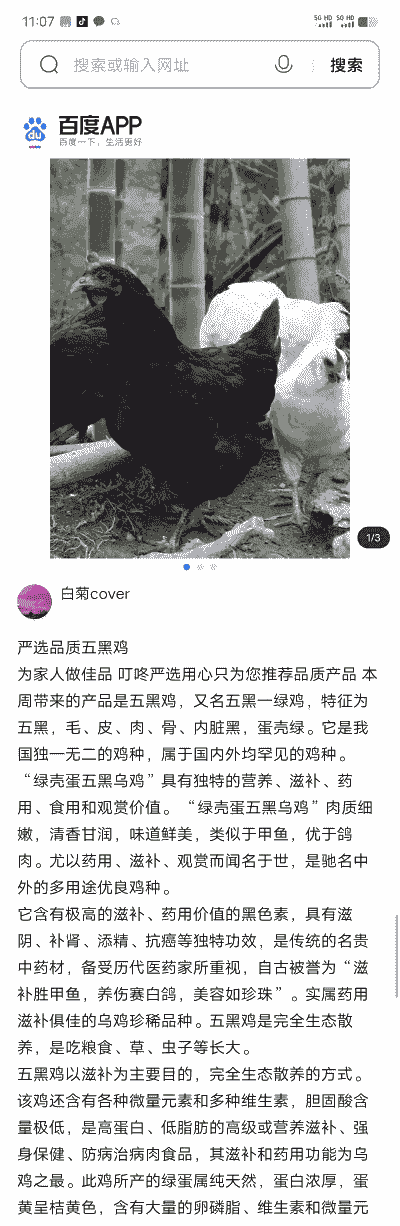 黑鸡苗供应价格多少合适