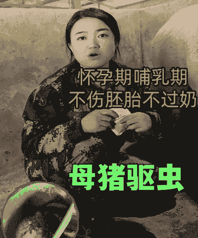 母猪产后多久可以打虫