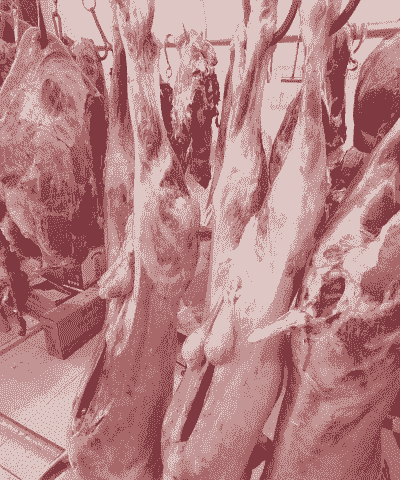 宁波牛羊肉现杀价格多少