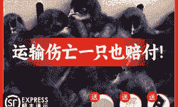 全国发货五黑鸡苗价格表