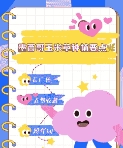 墨西哥玉米种植教程