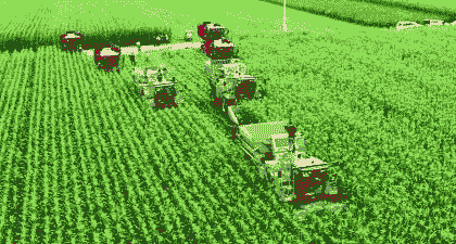 龙江玉米种植面积