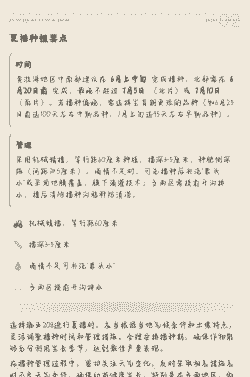 夏播玉米种植价格