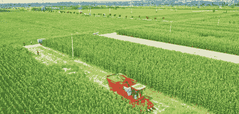 夏县玉米种植分布