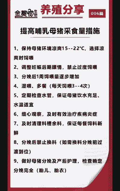 母猪产后提高采食量
