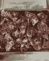 猪肉价格影响牛羊肉吗