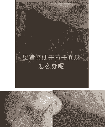 母猪产后拉屎怎么处理