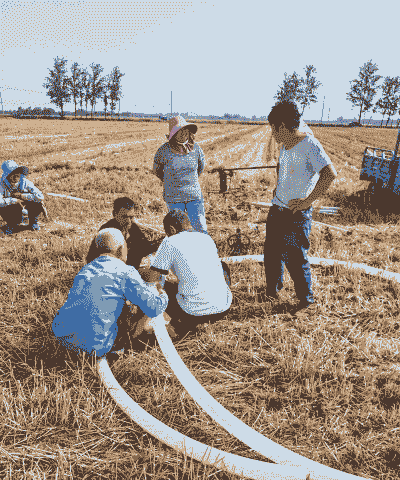 玉米种植防旱措施