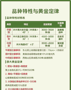 玉米种植亩株数