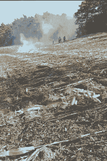 玉米种植后着火