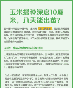 玉米种植深度要求