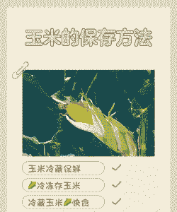 玉米种植储存方法
