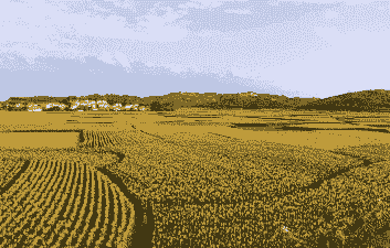 广西玉米种植地区