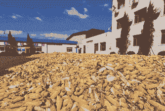 铁岭玉米种植地方