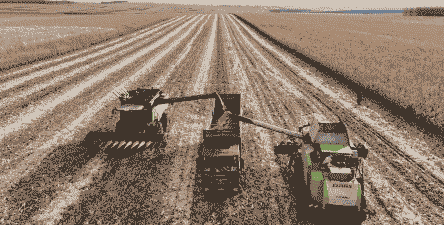 扎兰屯玉米种植面积