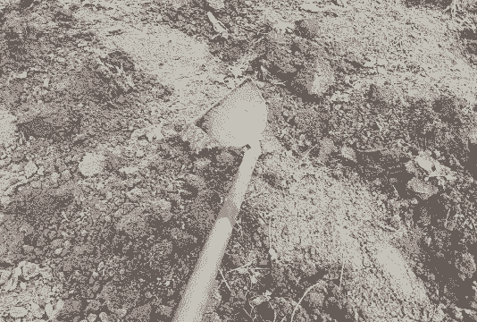 挖坑玉米种植方法