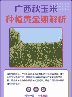 广西玉米种植时间