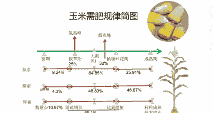 玉米种植需肥
