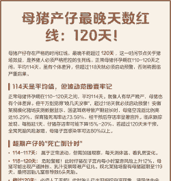 母猪生产后多久产仔