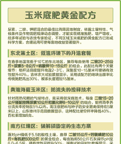 玉米种植底肥配比