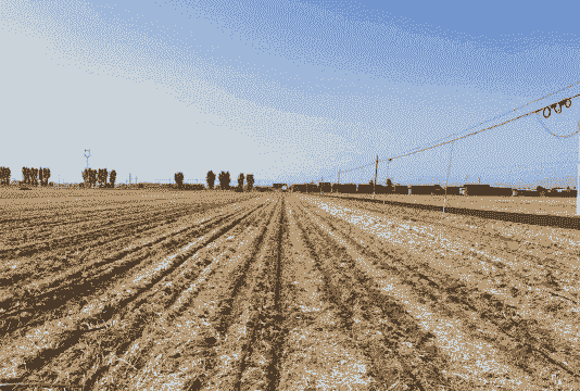 夏播玉米种植区域