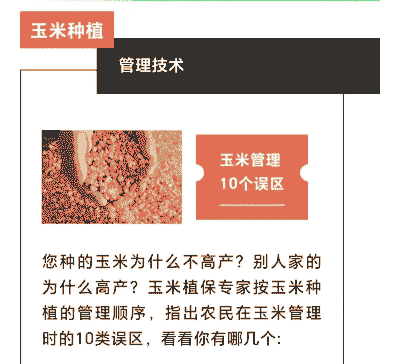 玉米种植的误区