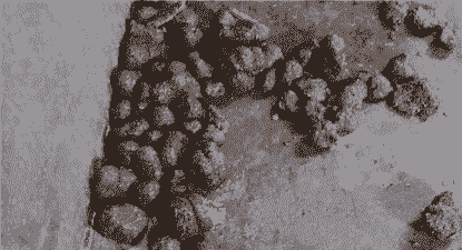 母猪产后排硬便