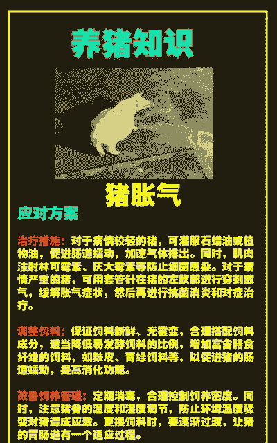 如何防止母猪产后胀气