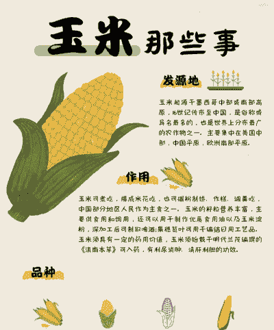 玉米种植典型经验