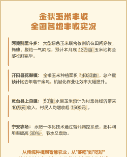 金秋玉米种植价格