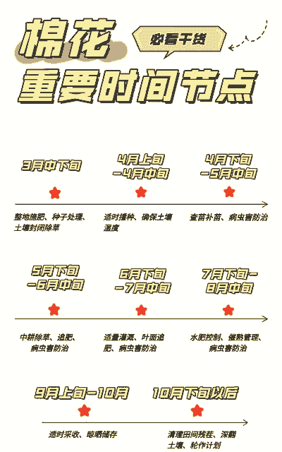 棉花种植玉米种植时间