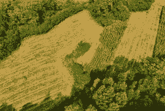 安岳玉米种植面积多少