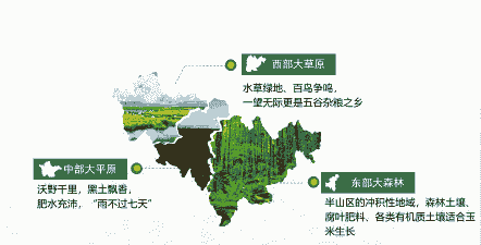 吉林玉米种植地域条件