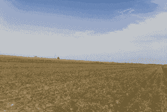 吐鲁番大田玉米种植面积