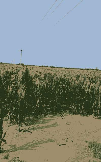 保定最佳玉米种植季节