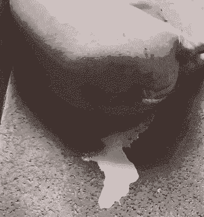 母猪产后五六天流脓