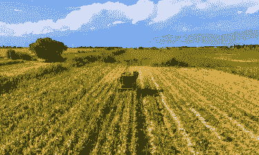 新新疆玉米种植区域