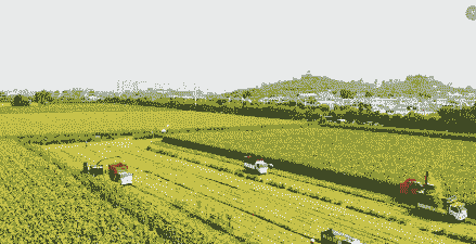 山西忻州玉米种植面积