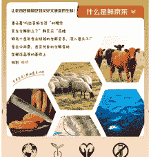 内蒙原切牛羊肉价格表