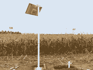 玉米种植温湿度