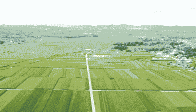 宣威本地玉米种植面积