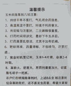 玉米种植需要农药吗