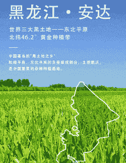 东北玉米种植气候条件