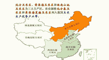 南方种玉米种植方法