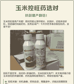 玉米种植控旺药剂