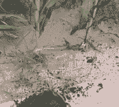 玉米种植户存在问题